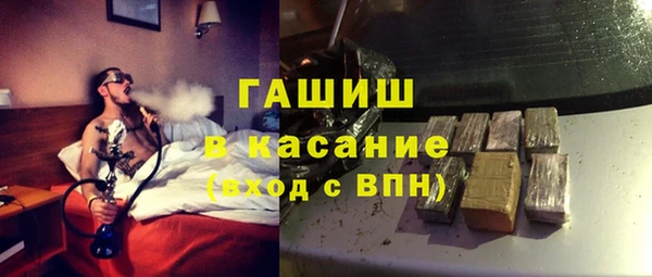 сатива Каменка