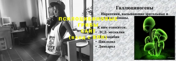 сатива Каменка