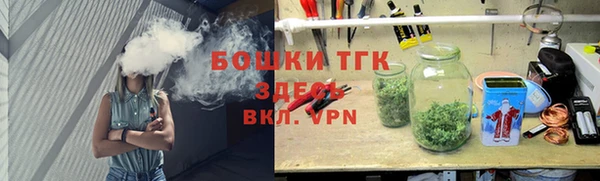 сатива Каменка
