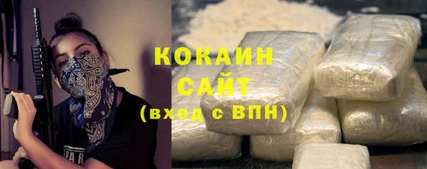 сатива Каменка