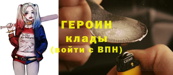 сатива Каменка