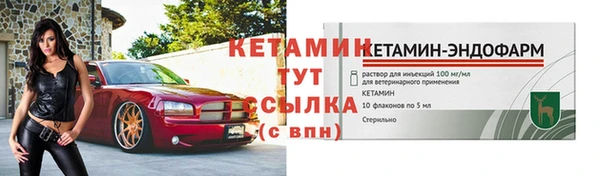 сатива Каменка