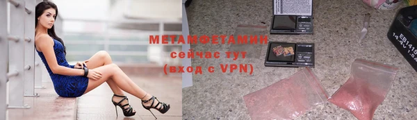 сатива Каменка