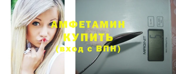 сатива Каменка