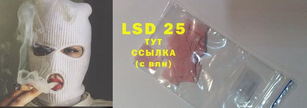 сатива Каменка
