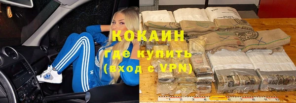 сатива Каменка