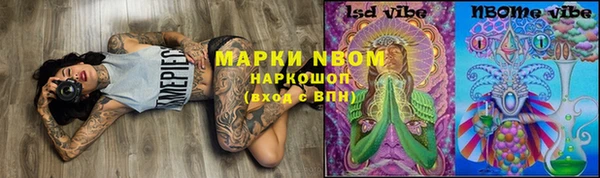 сатива Каменка