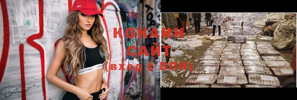сатива Каменка