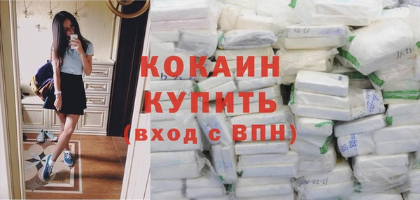 сатива Каменка