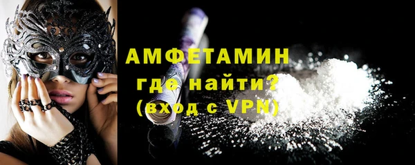 сатива Каменка