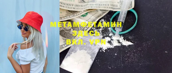 сатива Каменка
