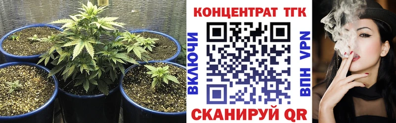 ОМГ ОМГ ТОР  Камышин  ТГК THC oil 