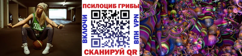 Псилоцибиновые грибы мицелий  где купить наркоту  Камышин 